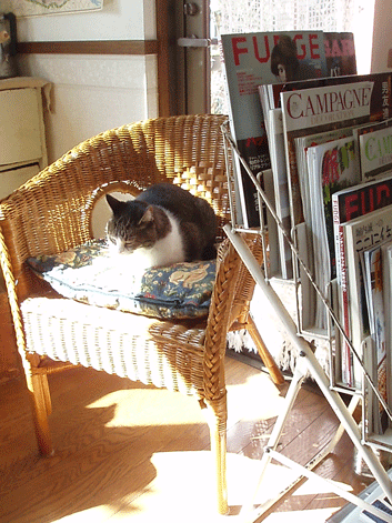 c0129702_062772.gif