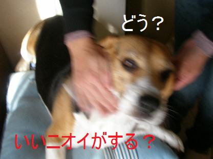 c0205806_17193563.jpg