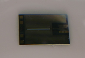 d0106518_1351897.jpg