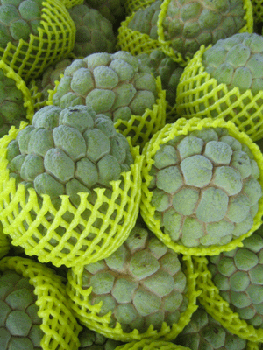 f0161318_9343792.gif