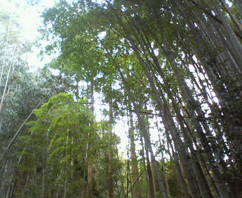 f0036223_14262819.jpg