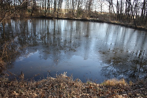 e0162524_1223388.jpg