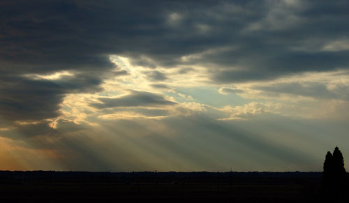 f0147025_1962919.jpg