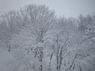 f0098728_1733598.jpg