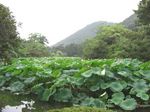 栗林公園2.jpg