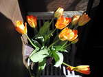 08春03.JPG