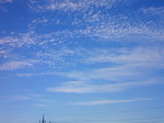 200808311705000.jpg