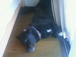 200808311551000.jpg