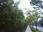 プチ森林浴.JPG