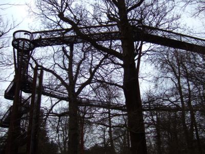 e0005941_11364317.jpg