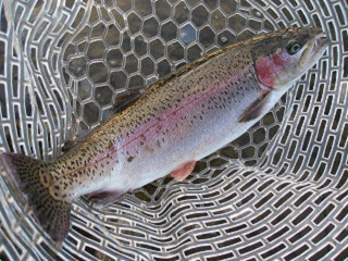 f0065341_2103826.jpg