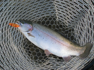 f0065341_2105042.jpg
