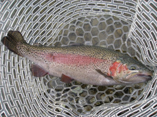 f0065341_2113280.jpg