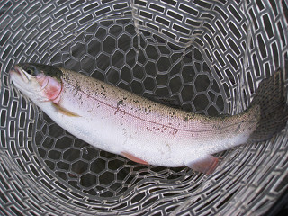 f0065341_2124975.jpg