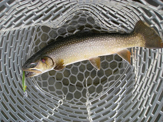 f0065341_2131856.jpg