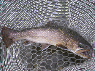f0065341_213243.jpg