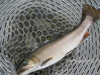 f0065341_2155013.jpg