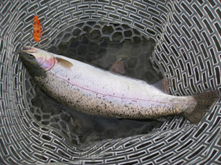 f0065341_2162116.jpg