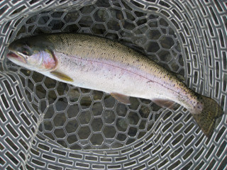 f0065341_216777.jpg