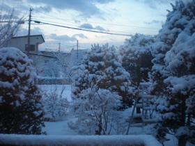 c0153444_11132519.jpg