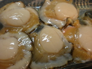c0153444_11391363.jpg