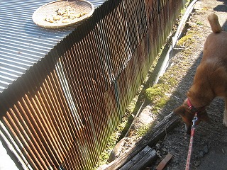 a0054948_05381.jpg