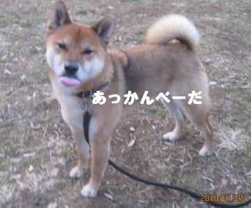 e0121548_22225428.jpg