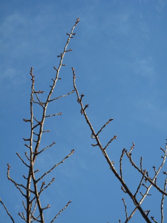 a0094449_13222814.jpg