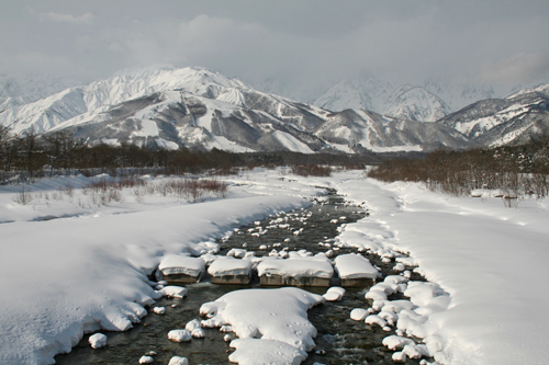 a0003259_155475.jpg