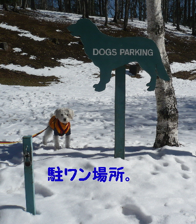 f0203369_22563827.jpg