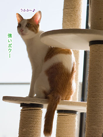 a0119470_23523762.jpg