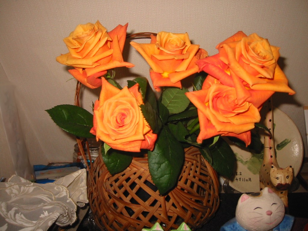 e0031572_6414516.jpg