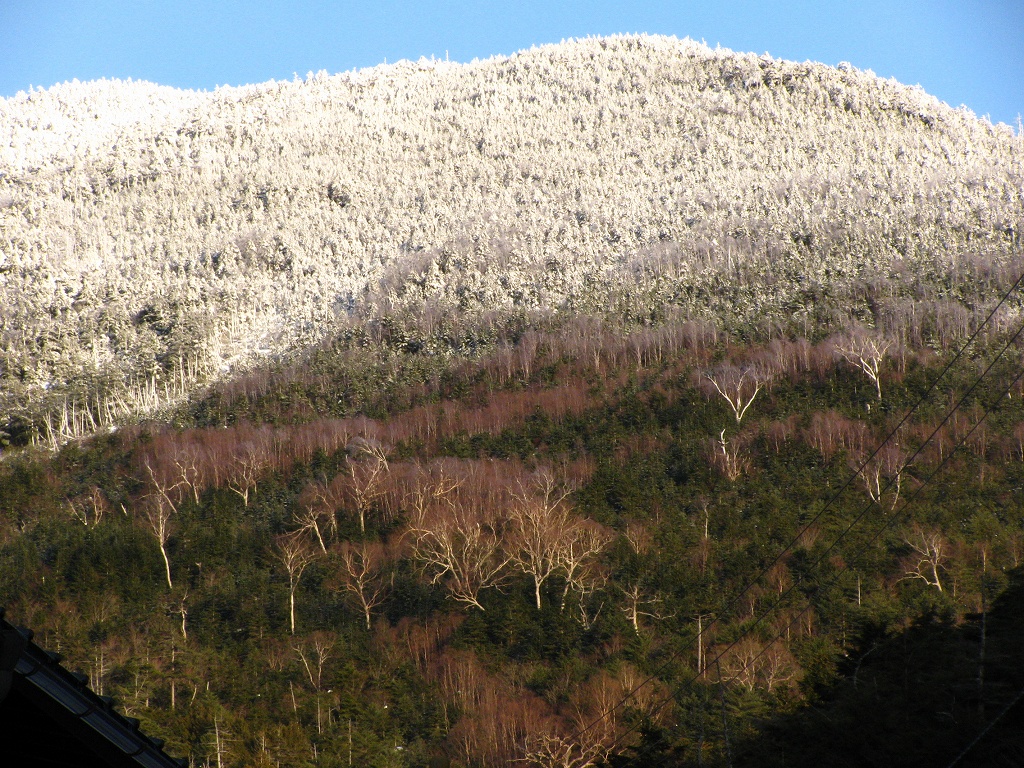 e0024081_1948526.jpg