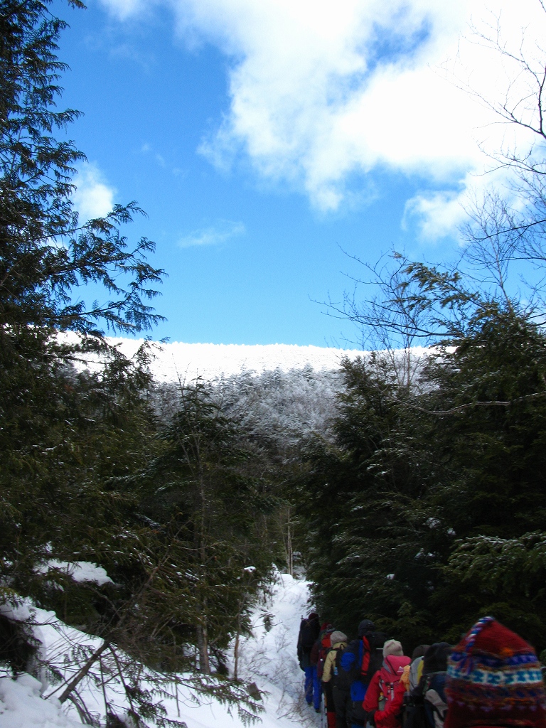 e0024081_20224379.jpg