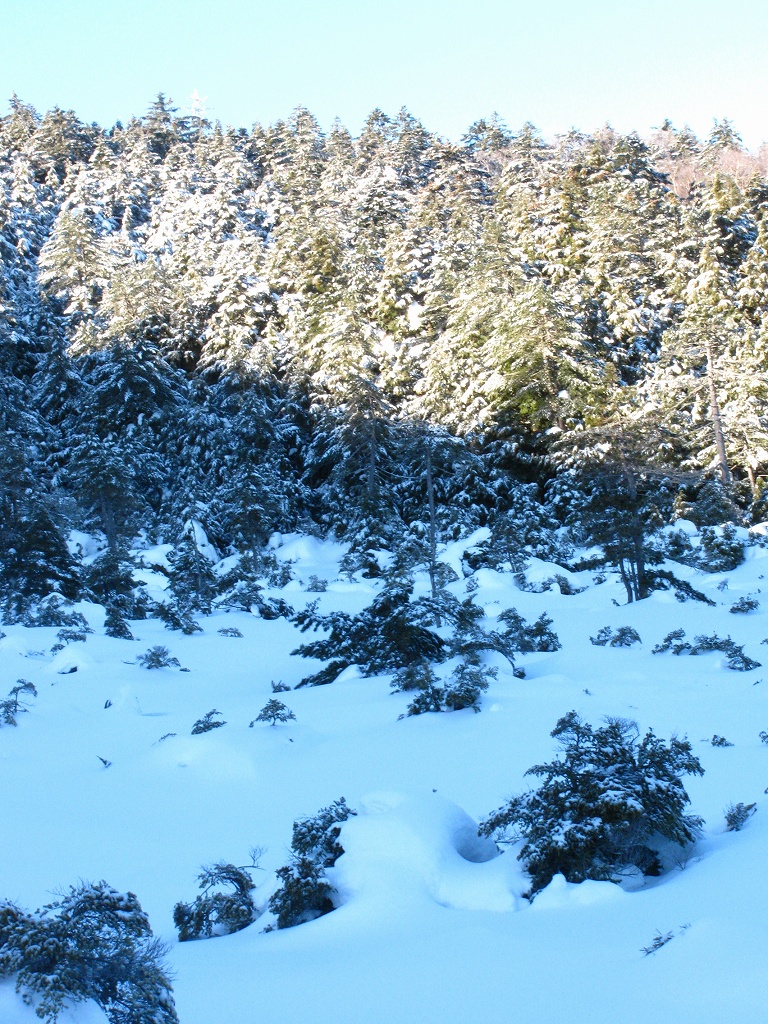 e0024081_2127692.jpg