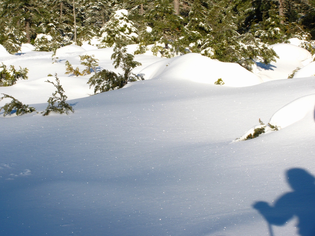 e0024081_21284493.jpg