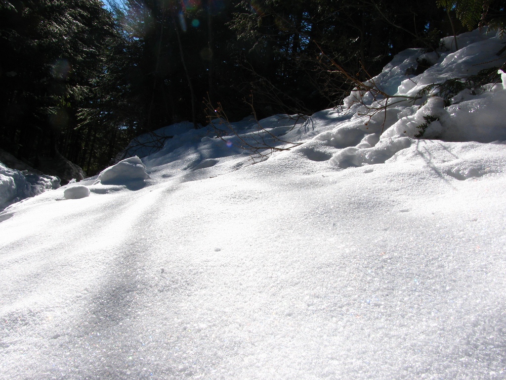 e0024081_21424389.jpg
