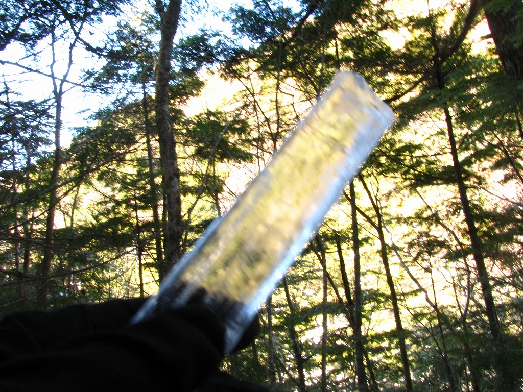 e0024081_21443464.jpg
