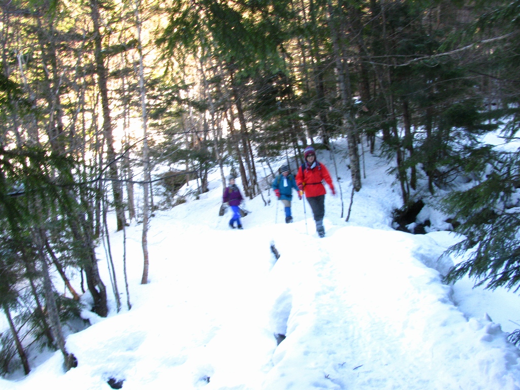 e0024081_2144582.jpg