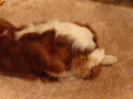 a0079292_1938431.jpg