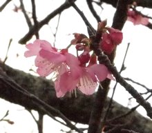 e0111793_1352209.jpg