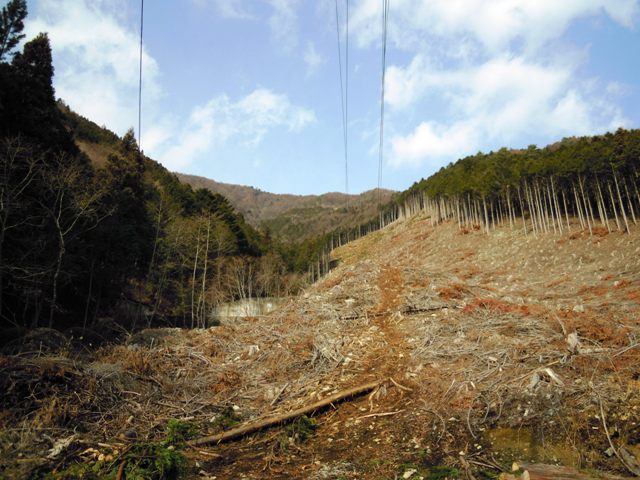 c0018195_15175070.jpg