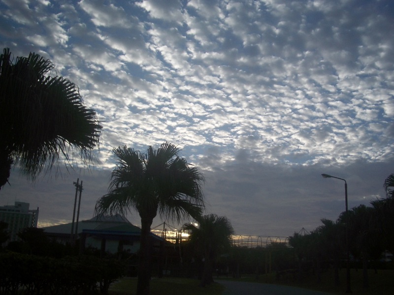 c0193396_18145322.jpg