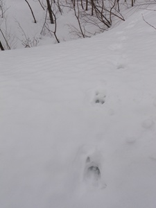 a0138198_1658166.jpg
