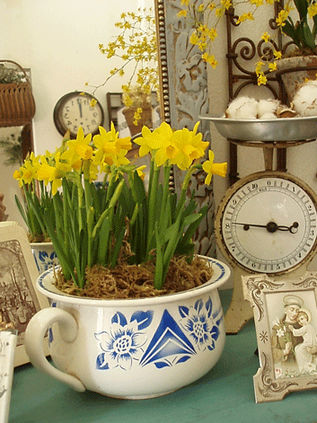 c0129702_0172848.gif