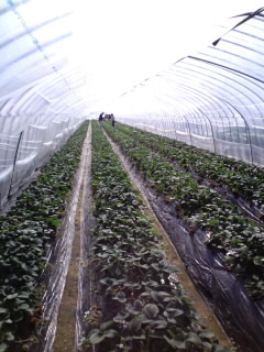 f0147602_14103796.jpg