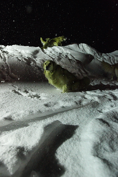 e0117503_18203774.jpg