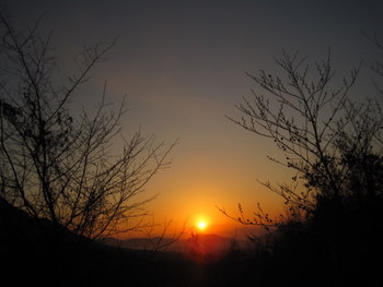 c0195309_1745792.jpg