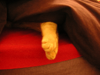 e0115312_8264684.jpg
