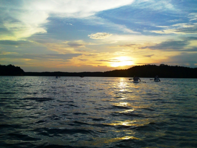 a0000014_232574.jpg